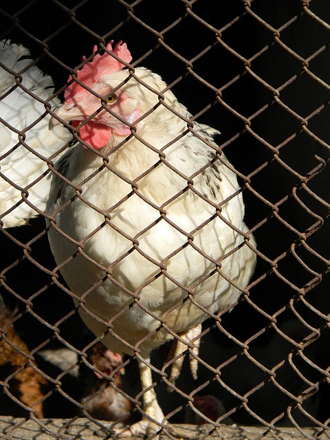 球员逐渐崭 球员逐渐崭