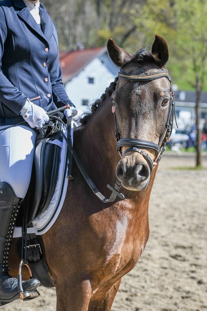 真不差錢 真不差錢