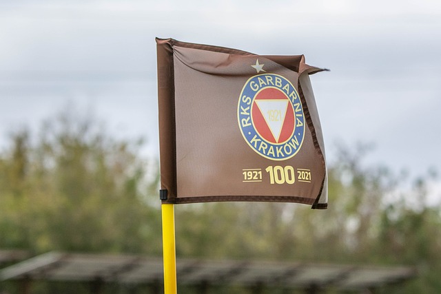 掌控大局 掌控大局