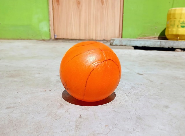 教练员临场 教练员临场