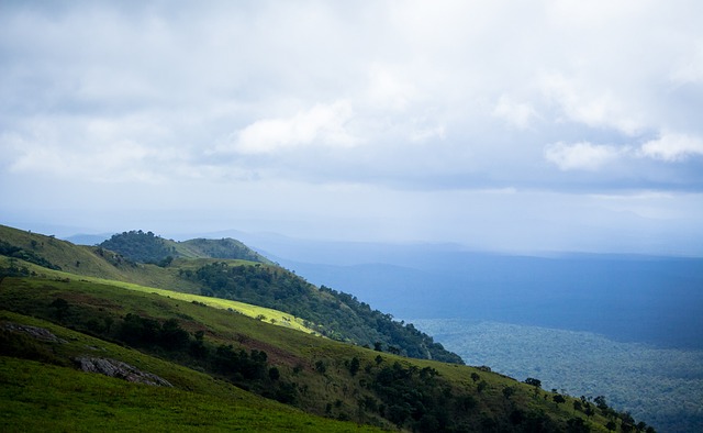 他不仅提升 他不仅提升